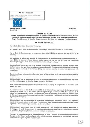 Arrêté Du Maire Participation Du Public 18 Mars 2025 (Visé)