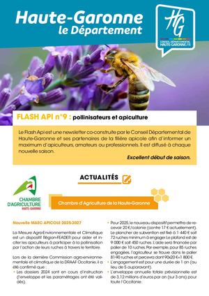 Flash Api N°9 - Début de saison 2025