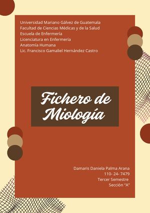 Fichero De Miología