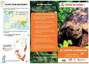 Plaquette PNA Tortue d'Hermann