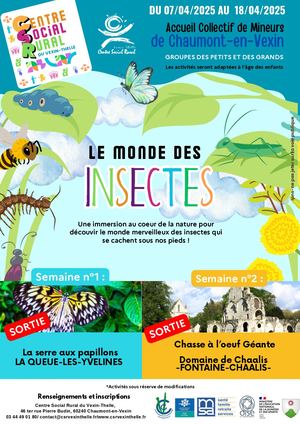 Vacances De Printemps Acm 1