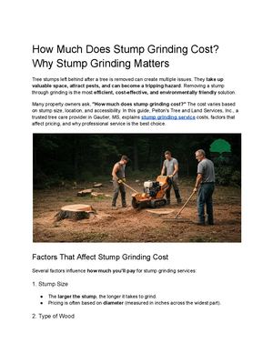How Much Does Stump Grinding Cost Why Stump Grinding Matters