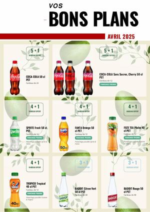 Bons Plans VAE Avril 2025 LRB