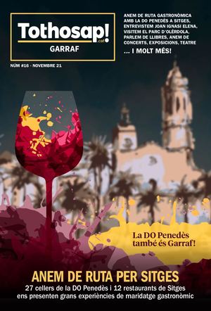REVISTA TOTHOSAP! NOVEMBRE 2021