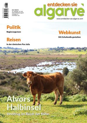 Esa 0425 Vorschau Calameo