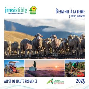 Circuits découverte AD04 BAF