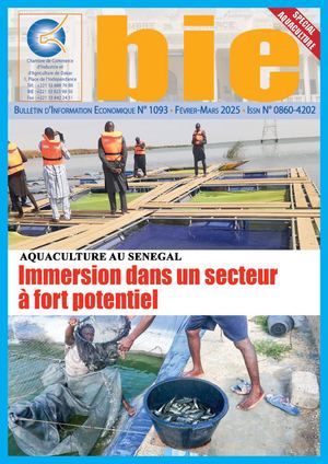 Bie N°1093