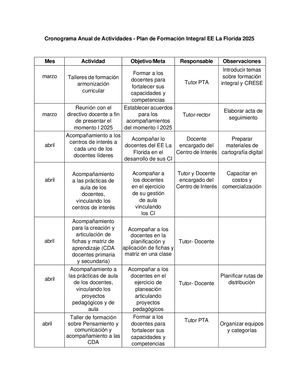 Cronograma Anual De Actividades Pfi 2025