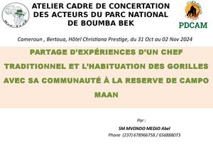 Presentation Sm Mvondo Medjo à Bertoua Pn Boumba Bek[1] [Lecture Seule][compatibility Mode]
