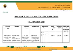 Programme Triennal Plan D'action 2025 Pdcam