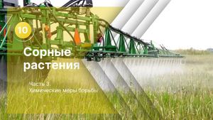 9. Сорные растения. Часть 3.