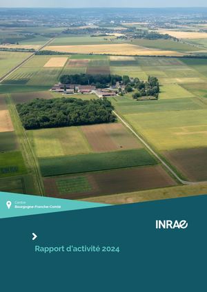 Rapport Activité 2024 Bd