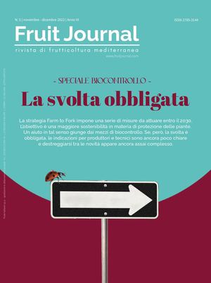 FRUIT JOURNAL | N.5/2022
