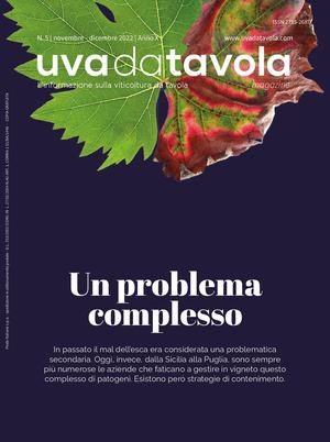 UVADATAVOLA MAGAZINE | N.5/2022