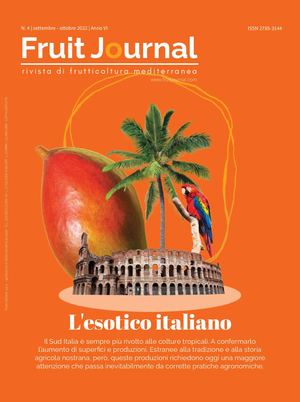 FRUIT JOURNAL | N.4/2022