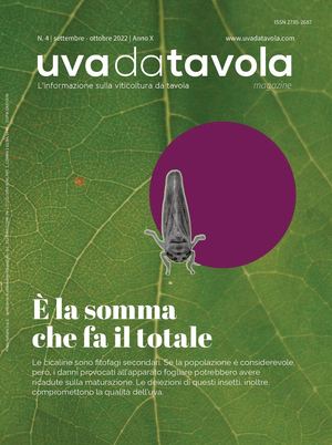 UVADATAVOLA MAGAZINE | N.4/2022