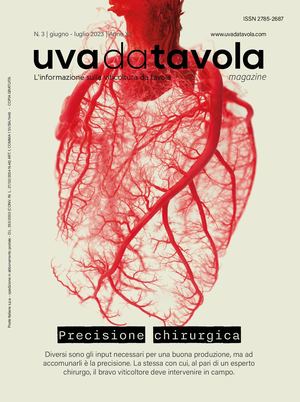 UVADATAVOLA MAGAZINE | N.3/2023