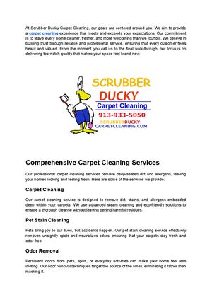 Scrubber Ducky Carpet Cleaning - Professional Carpet Cleaning in Raytown, MO
