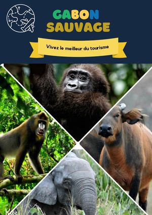 Quand et où observer la faune emblématique du Gabon?