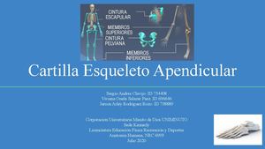 Cartilla Esqueleto Apendicular
