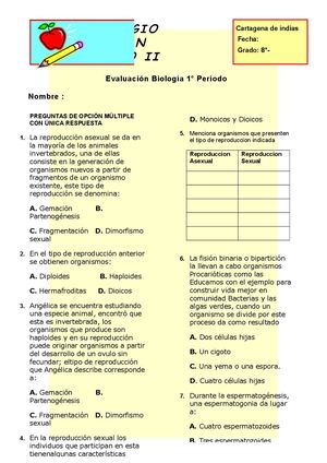 Examen Grado Octavo Am Juan Pablo