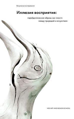 Иллюзия восприятия: парейдолические образы как «мост» между природой  и искусством