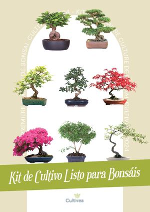 ES Notice Kit First Bonsai