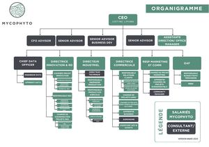 Organigramme Mycophyto (Mars 2025)