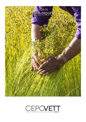 Rapport RSE 2024 25 GB