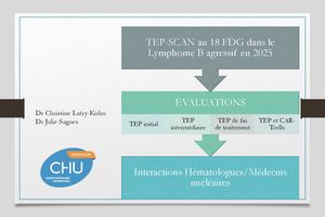 RR Lymphome EST :  Tep Scan Dans Le Lbdgc Eval Précoce Et Suivi Post Car T - Christine Latry Kuhn Et Julie Sagnes