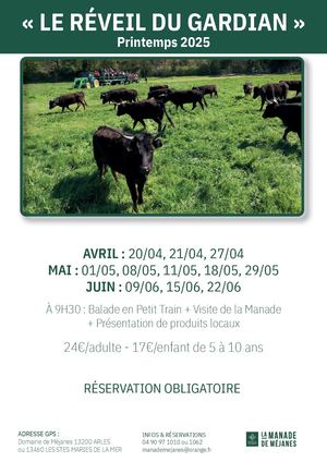 VISITE DE LA MANADE DE MÉJANES - PRINTEMPS 2025