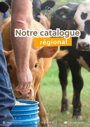 Catalogue Regional