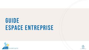 Guide Espace Entreprise