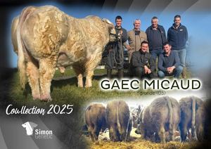 Micaud cowllection 2025