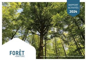 Rapport d'activités 2024