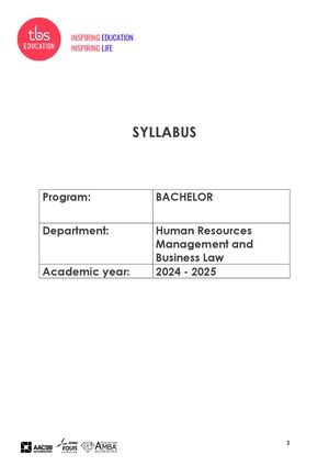 DSB Company Consulting 2024 2025