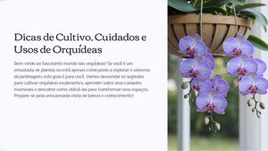 Dicas De Cultivo Cuidados E Usos De Orquideas