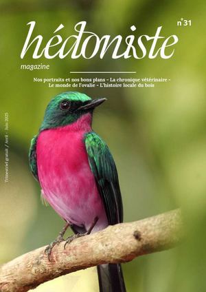 Hédoniste Occitanie # 31