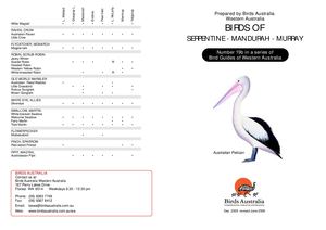 Mandurah B