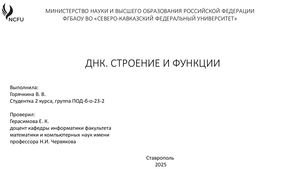 ДНК. Строение и функции