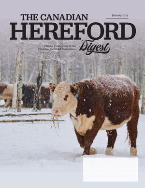 Canadian Hereford Digest January 2025