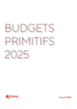Budget Primitif 2025 GPSEA