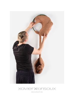 Xavier Brisoux • Biographie