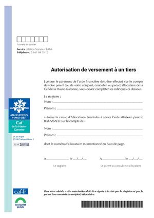 Formulaire Bafa 2025