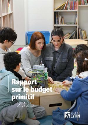 Rapport Sur Le Budget Primitif 2025