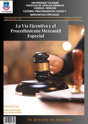 La Vía Ejecutiva y el Procedimiento Mercantil Especial
