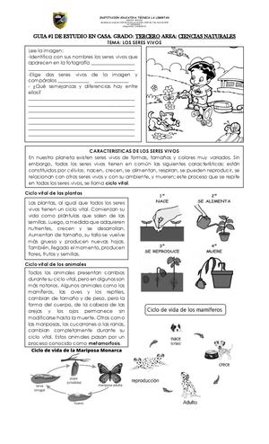 3 3 Ciencias Naturales