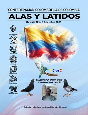 Revista 6 Esp Alas Y Latidos
