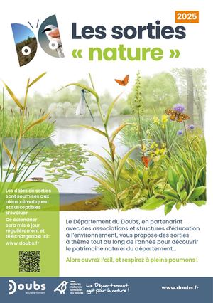 Les sorties ENS 2025