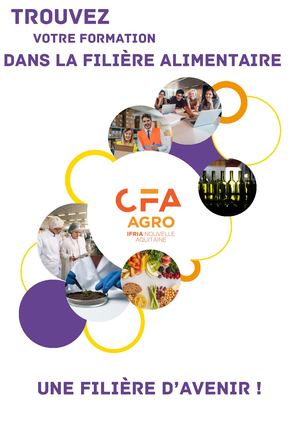 Catalogue Apprentissage Avril 2025